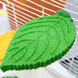 Maxbell Parrot Perch Compact Grinding Stand for Birds for Cockatiels Conures Budgies Green