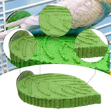 Maxbell Parrot Perch Compact Grinding Stand for Birds for Cockatiels Conures Budgies Green