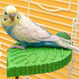Maxbell Parrot Perch Compact Grinding Stand for Birds for Cockatiels Conures Budgies Green