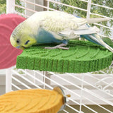 Maxbell Parrot Perch Compact Grinding Stand for Birds for Cockatiels Conures Budgies Green