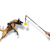 Maxbell Tease Pole for Dogs Non Slip Handle Lightweight Outside Bording Time Chasing