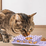 Maxbell Dog Slow Feeder and Lick Mat Training for Puppy Small Animals All Sized Dogs Purple