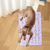 Maxbell Pet Cooling Mat Nonslip Versatile Bed Cover Mattress for Bedroom Indoor Home