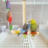 Maxbell Bird Perch Toy Rotating Bird Perch for Budgerigar Cockatiels Small Parakeets