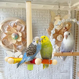 Maxbell Bird Perch Toy Rotating Bird Perch for Budgerigar Cockatiels Small Parakeets