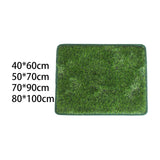 Maxbell Fake Grass Pee for Dog Bedpan Artificial Grass Rug for Patio Bathroom Kitten 40cmx60cm