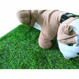 Maxbell Dog Fake Grass Pee Reusable Large Grass Mat for Playpents Household Bathroom 40cmx60cm