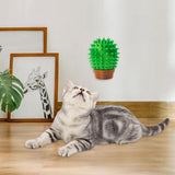 Maxbell Cactus Cat Corner Scratcher Pet Supplies Exercise Stylish Cat Grooming Brush
