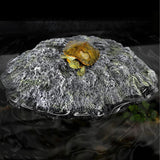 Maxbell Turtle Basking Platform Tortoise Climbing Platform for Frog Terrapin