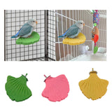Maxbell Ginkgo Leaf Pet Parrot Perch Paw Grinding Stick for Lovebirds Macaws Budgies Green