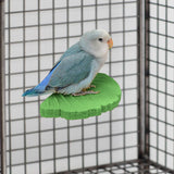 Maxbell Ginkgo Leaf Pet Parrot Perch Paw Grinding Stick for Lovebirds Macaws Budgies Green