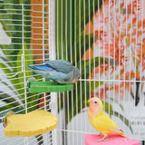 Maxbell Ginkgo Leaf Pet Parrot Perch Paw Grinding Stick for Lovebirds Macaws Budgies Pink