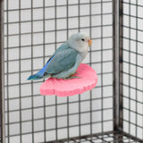 Maxbell Ginkgo Leaf Pet Parrot Perch Paw Grinding Stick for Lovebirds Macaws Budgies Pink