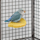 Maxbell Ginkgo Leaf Pet Parrot Perch Paw Grinding Stick for Lovebirds Macaws Budgies Yellow