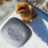 Maxbell Silicone Litter Mat Waterproof Non Slip Anti Scratch Easy to Clean Accessory