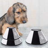 Maxbell Dog Cone Collar Dog Neck Collar for Medium/Small Dogs and Cats Kittens Puppy S