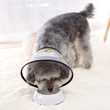 Maxbell Dog Cone Collar Dog Neck Collar for Medium/Small Dogs and Cats Kittens Puppy M