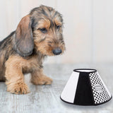 Maxbell Dog Cone Collar Dog Neck Collar for Medium/Small Dogs and Cats Kittens Puppy L