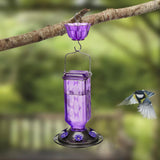 Maxbell Hummingbird Feeder for Outdoors Hanging 6 Feeding Stations for Window Garden Purple