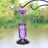 Maxbell Hummingbird Feeder for Outdoors Hanging 6 Feeding Stations for Window Garden Purple