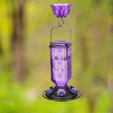 Maxbell Hummingbird Feeder for Outdoors Hanging 6 Feeding Stations for Window Garden Purple