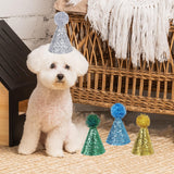 Maxbell 4x Birthday Hat for Dog Cat Decor Mini Party Hat for Pet Birthday Party Cat Style A