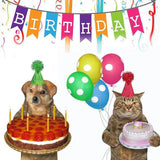 Maxbell 4x Birthday Hat for Dog Cat Decor Mini Party Hat for Pet Birthday Party Cat Style B