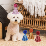 Maxbell 4x Birthday Hat for Dog Cat Decor Mini Party Hat for Pet Birthday Party Cat Style B