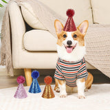 Maxbell 4x Birthday Hat for Dog Cat Decor Mini Party Hat for Pet Birthday Party Cat Style B