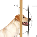 Maxbell Dog Fence Window Pet Bubble Window for Patio Outdoor Satisfying Curious Pet