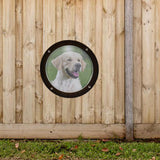 Maxbell Dog Fence Window Pet Bubble Window for Patio Outdoor Satisfying Curious Pet