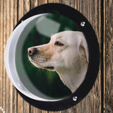 Maxbell Dog Fence Window Pet Bubble Window for Patio Outdoor Satisfying Curious Pet