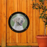 Maxbell Dog Fence Window Pet Bubble Window for Patio Outdoor Satisfying Curious Pet