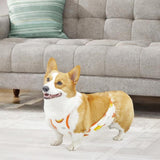 Maxbell Dog Stomacher for Male Pet Comfortable Pet Cloth for New Year Festival Party 40cm