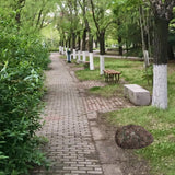 Maxbell PU Foam Landscape Rock Realistic Multifunctional Irregular Garden Decoration