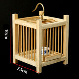 Maxbell Grasshopper Cage Square Premium Display Portable Hanging Cricket Habitat Box