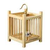 Maxbell Grasshopper Cage Square Premium Display Portable Hanging Cricket Habitat Box