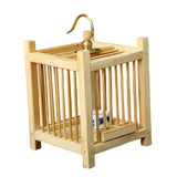 Maxbell Grasshopper Cage Square Premium Display Portable Hanging Cricket Habitat Box
