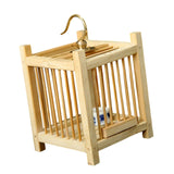 Maxbell Grasshopper Cage Square Premium Display Portable Hanging Cricket Habitat Box