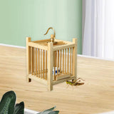 Maxbell Grasshopper Cage Square Premium Display Portable Hanging Cricket Habitat Box