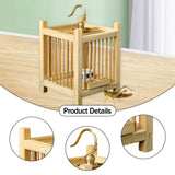 Maxbell Grasshopper Cage Square Premium Display Portable Hanging Cricket Habitat Box