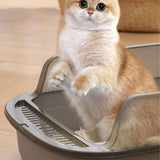 Maxbell Cat Litter Box Container Bedpan Heighten Sand Basin Sandbox Kitty Litter Pan