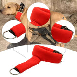 Maxbell Dog Collar Adjustable for Training Stylish Practice Training Game Pet Collar M