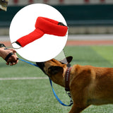 Maxbell Dog Collar Adjustable for Training Stylish Practice Training Game Pet Collar L