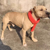 Maxbell Dog Collar Adjustable Training Collar for Mastiffs Medium Large Breeds Husky M