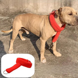 Maxbell Dog Collar Adjustable Training Collar for Mastiffs Medium Large Breeds Husky L