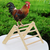 Maxbell Chicken Perch Stand Gym Outdoor Training Cock Parrot Enrichment Roosting Bar