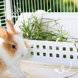 Maxbell Rabbit Feeder Rack Box Grass Holder for Hamster Small Animals Guinea Pig 32cmx12cmx14cm