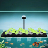 Maxbell Aquarium Hydroponic Floating Plant Holder Multifunctional Aquatic Plant Tray