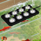 Maxbell Aquarium Hydroponic Floating Plant Holder Multifunctional Aquatic Plant Tray